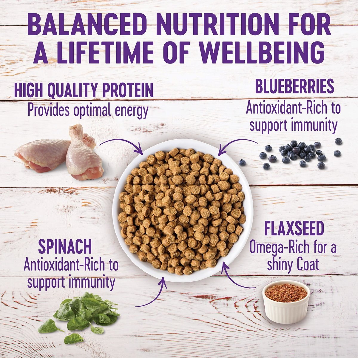 Wellness Grain-Free Complete Health Puppy Deboned Chicken， Chicken Meal and Salmon Meal Recipe Dry Dog Food