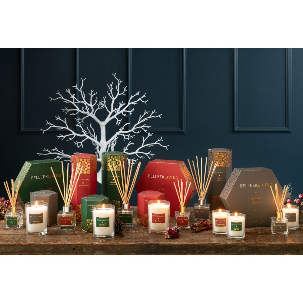 Belleek Living Evergreen & Silver Birch Gift Set