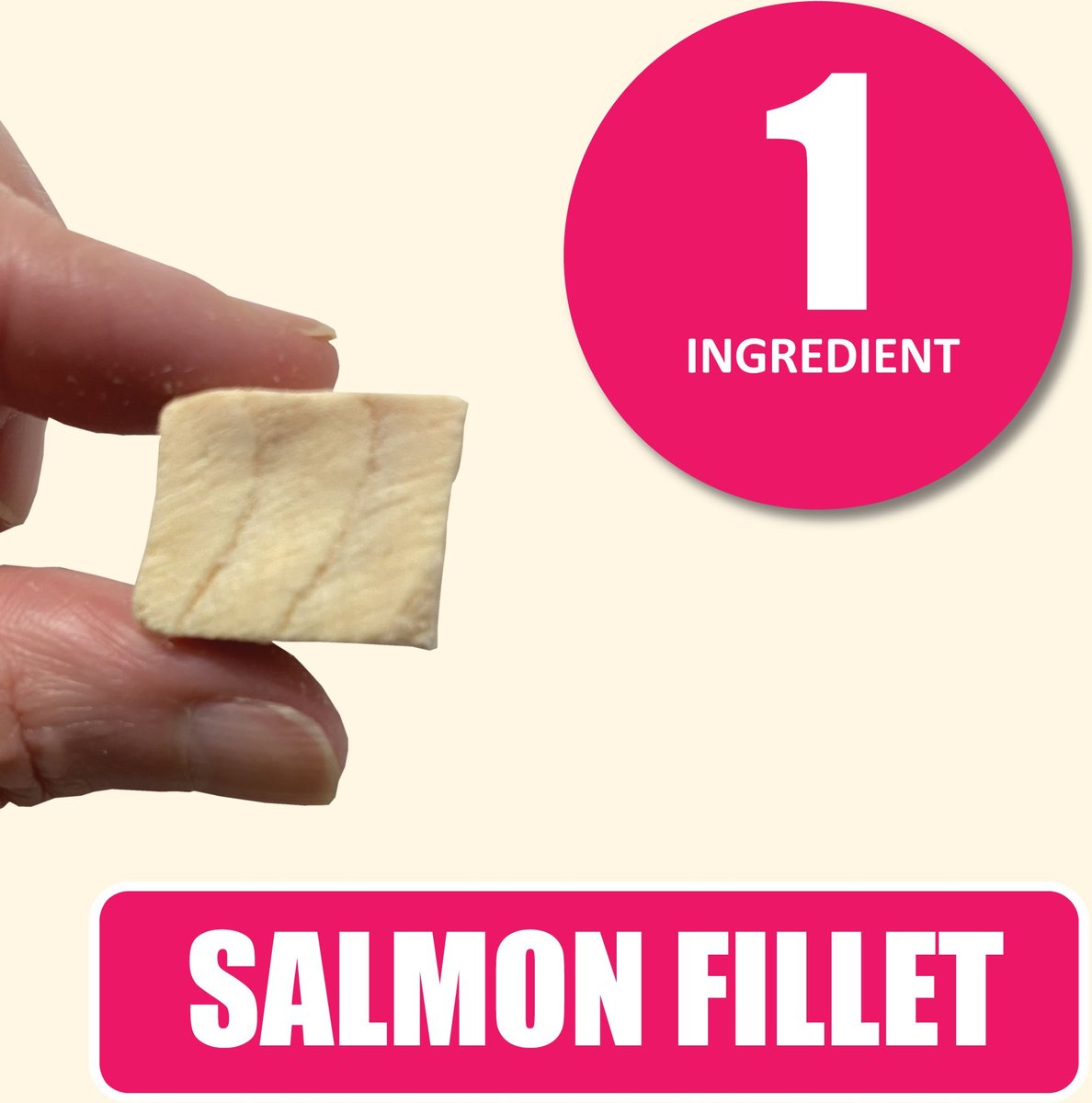 Whole Life Just One Ingredient Pure Salmon Fillet Freeze-Dried Dog and Cat Treats