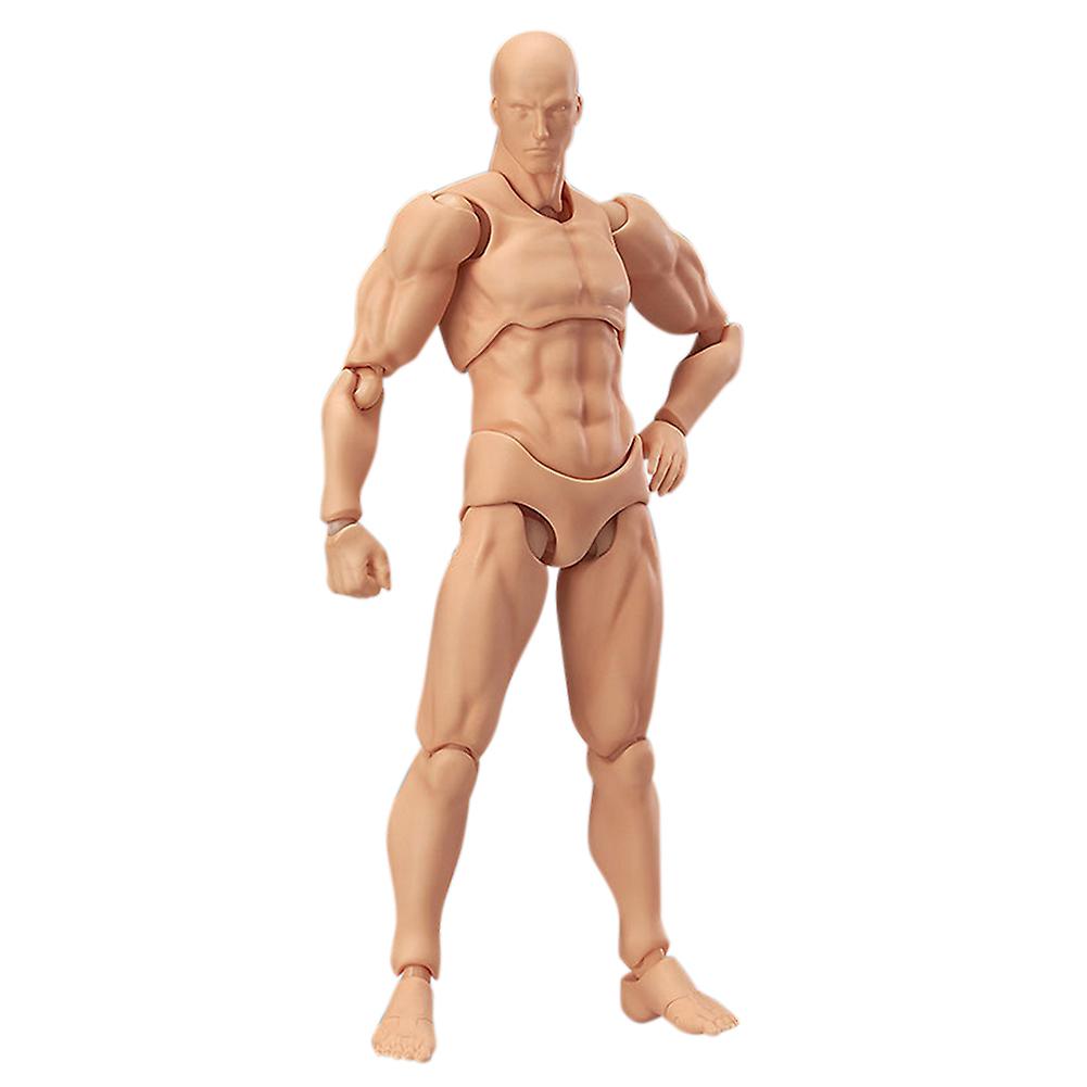 Articulated Mannequins Human Body Models PVC Movable Action Figure Models Gifts