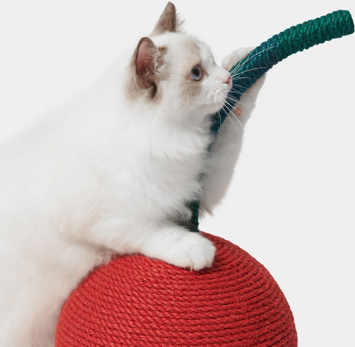 VETRESKA Cherry Scratching Ball Cat Toy