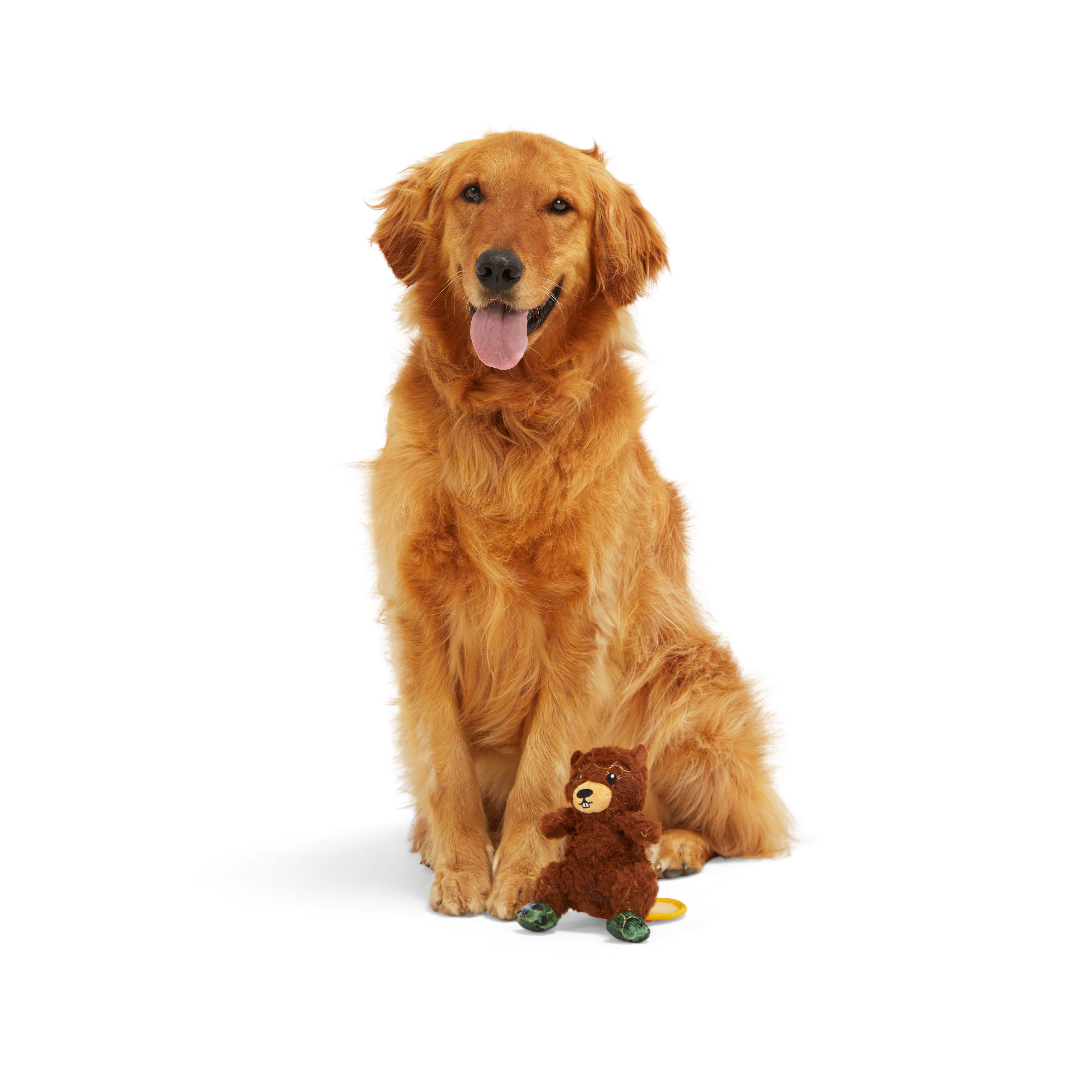 Leaps  Bounds Tough Beaver with Rubber Tail Dog Toy