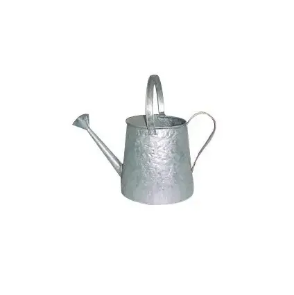 Metal Watering Cans For House Plants polish finish And Painted Finishing Design Water Storage Can Garden Decor Design