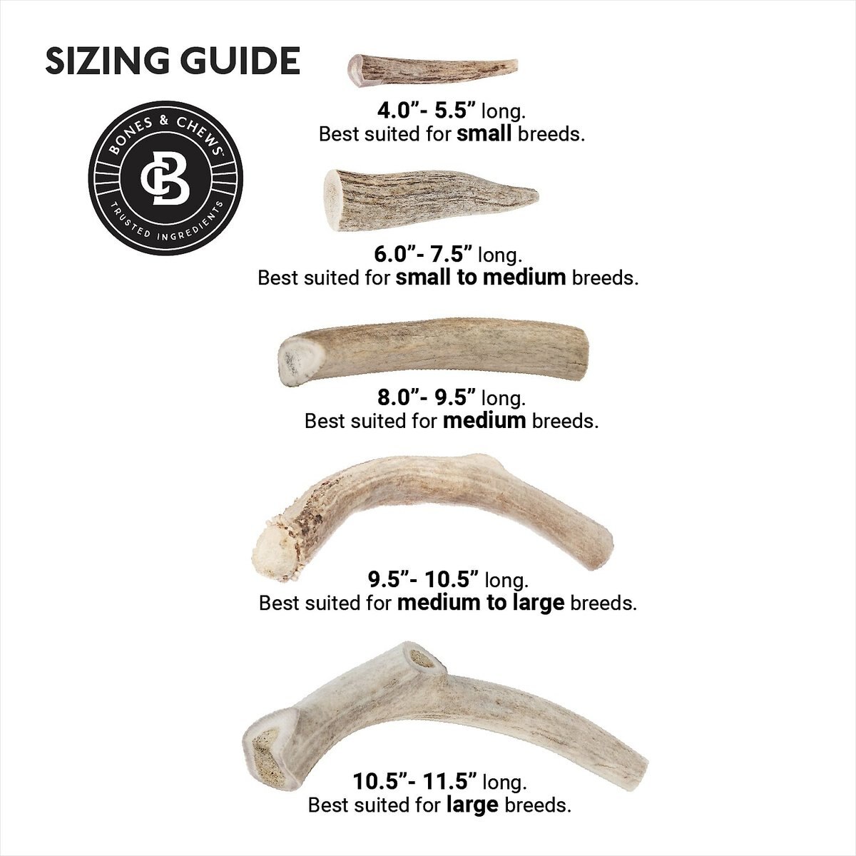 Bones and Chews Made in USA Deer Antler Dog Chew， 9.5 - 10.5-in， X-Large