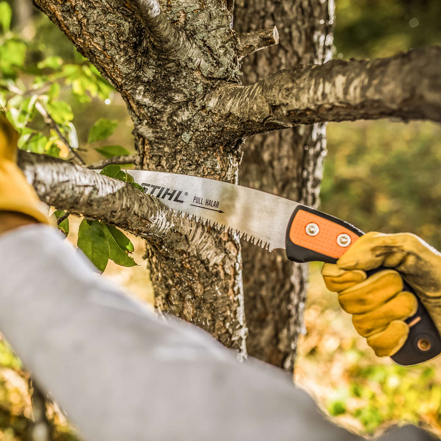 STIHL Aboriculture PS 70 Chemical Nickel Curved Pruning Saw