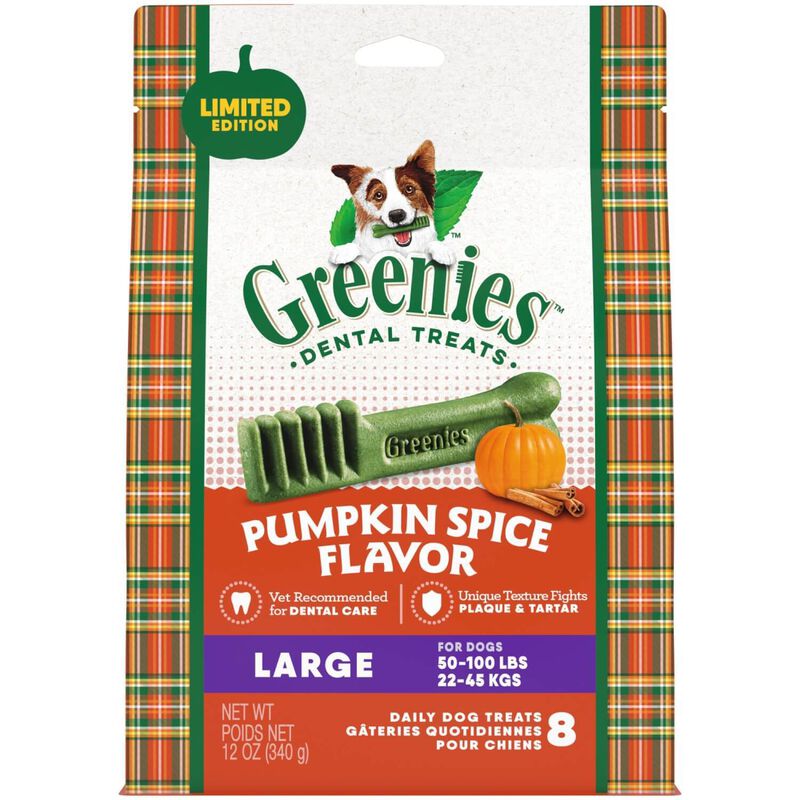 Pumpkin Spice Flavor Large Dental Dog Treats， 12 Oz. 12oz