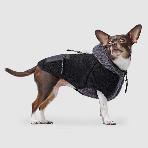 Canada Pooch Cool Factor Hoodie for Dogs in Black and Grey