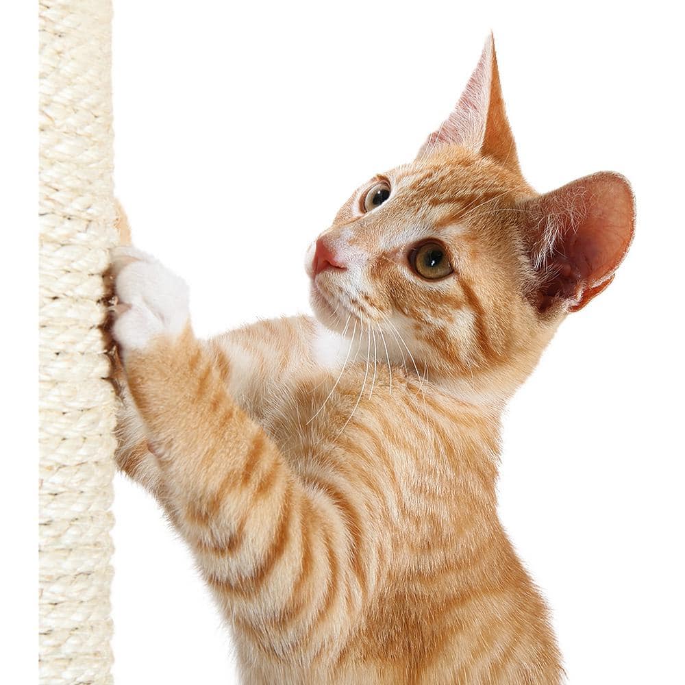 TRIXIE Parla Cat Scratching Post : For Indoor Cats : Plush Covered Base and Sisal Post : Beige : 24 inches Tall 43331