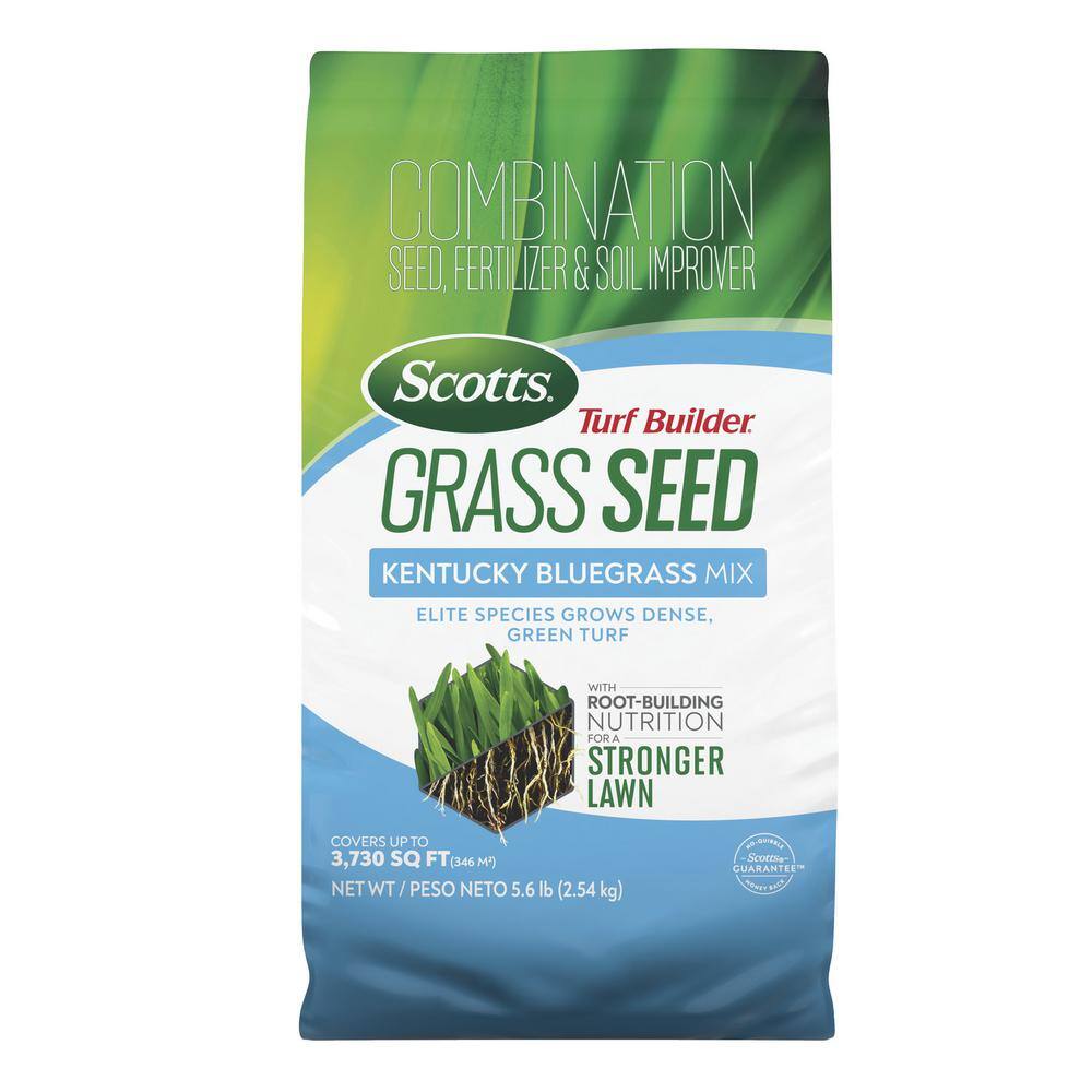 Scotts Turf Builder 5.6 lbs. Grass Seed Kentucky Bluegrass Mix with Fertilizer and Soil Improver Grows Dense Green Turf 18037