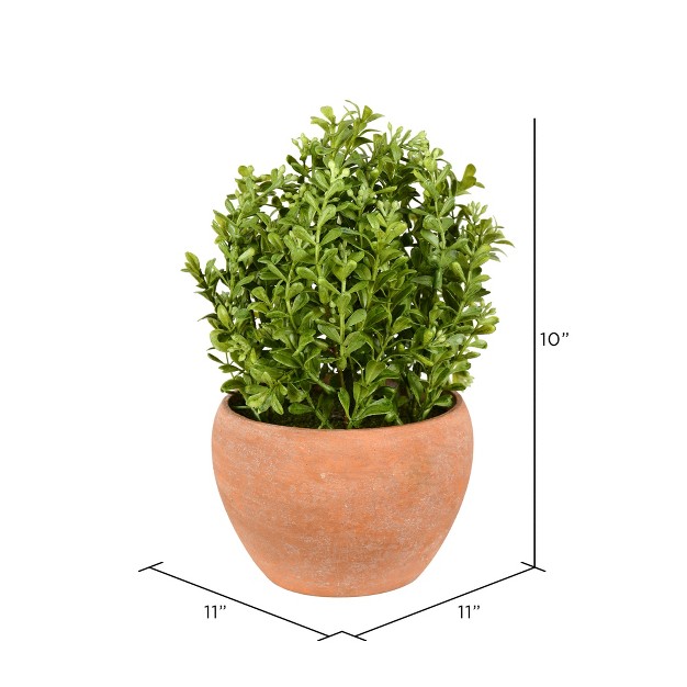 Vickerman Artificial Boxwood Modern Collection