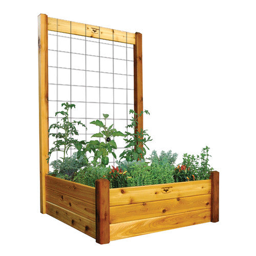 Raised Garden Bed with Trellis Kit