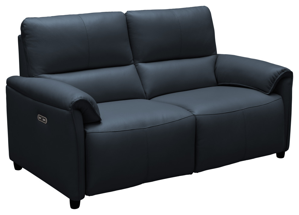 Lily Leather Power Reclining Loveseat With Power Headrests   Contemporary   Loveseats   by Abbyson Living  Houzz