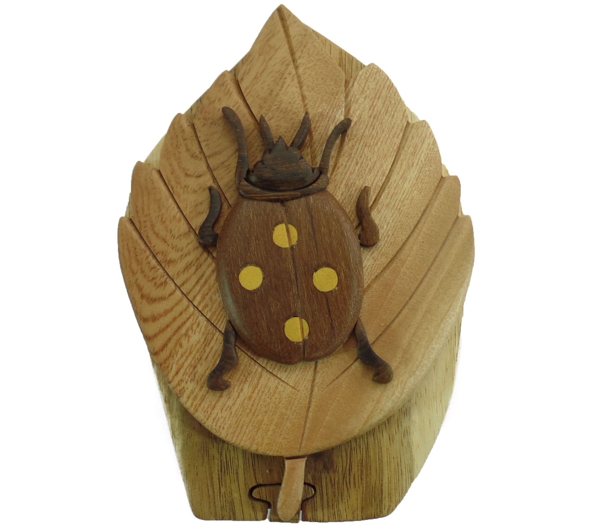 Carver Dan's Beetle Puzzle Box with Magnet Closures