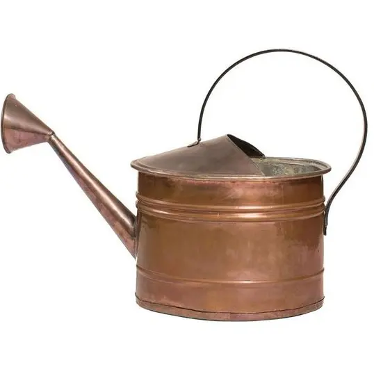 Handcrafted Metal Water Cane for Restaurants use Water Pots Gardening Water Supplies Cans and Jugs Planter Best Price