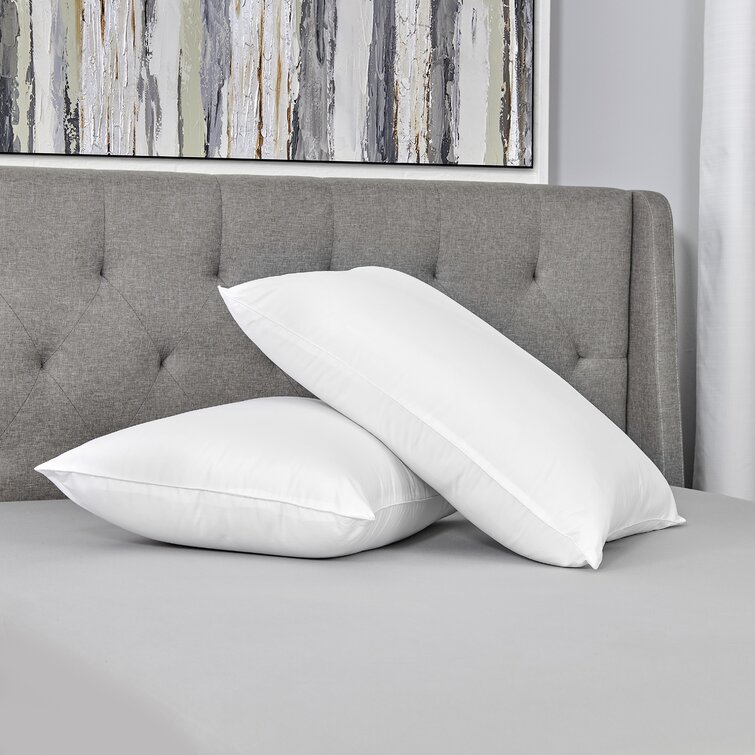 Sealy Healthy Nights Pillow