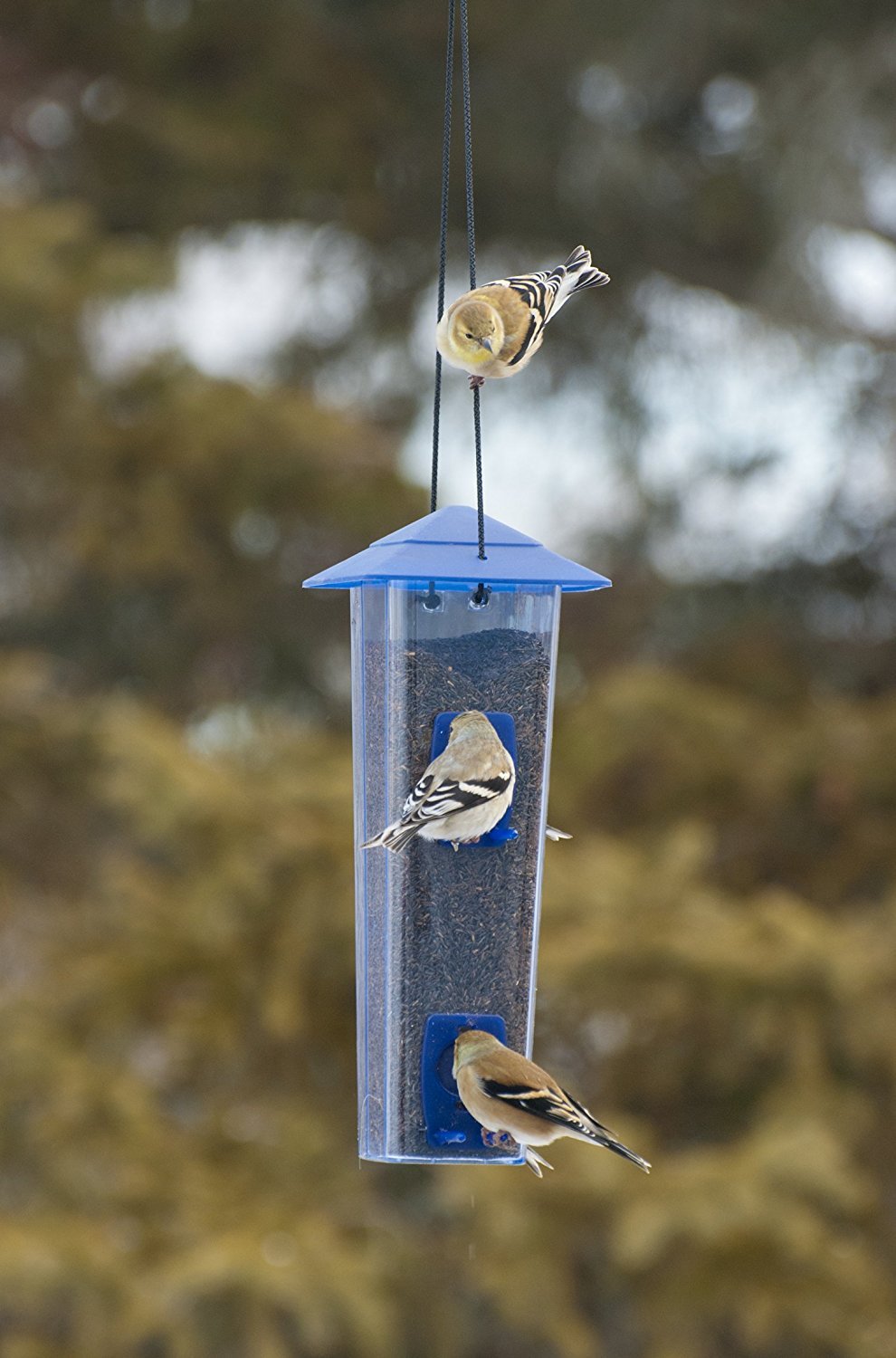 DUAL-PORT MIXED SEED/FINCH MIX