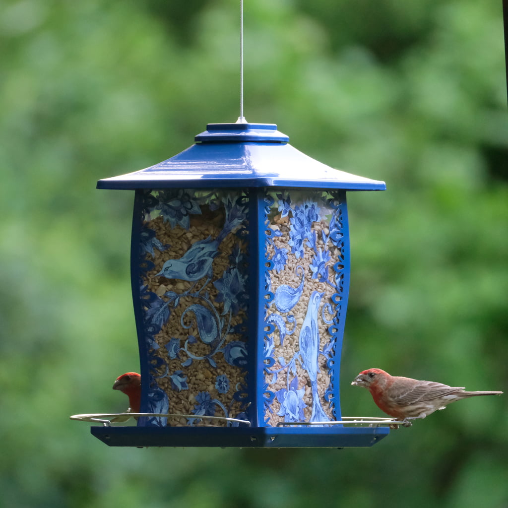 Paisley Sky Gazebo Bird Feeder