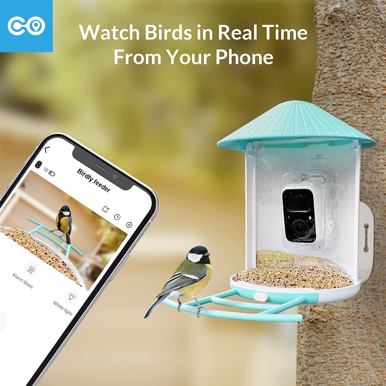 Reliable from YC Birdfy Lite-  Bird Feeder Camera  Bird Watching Camera Auto Capture Bird Videos and Motion Detection  Bird House Camera  Ideal Gift for Family