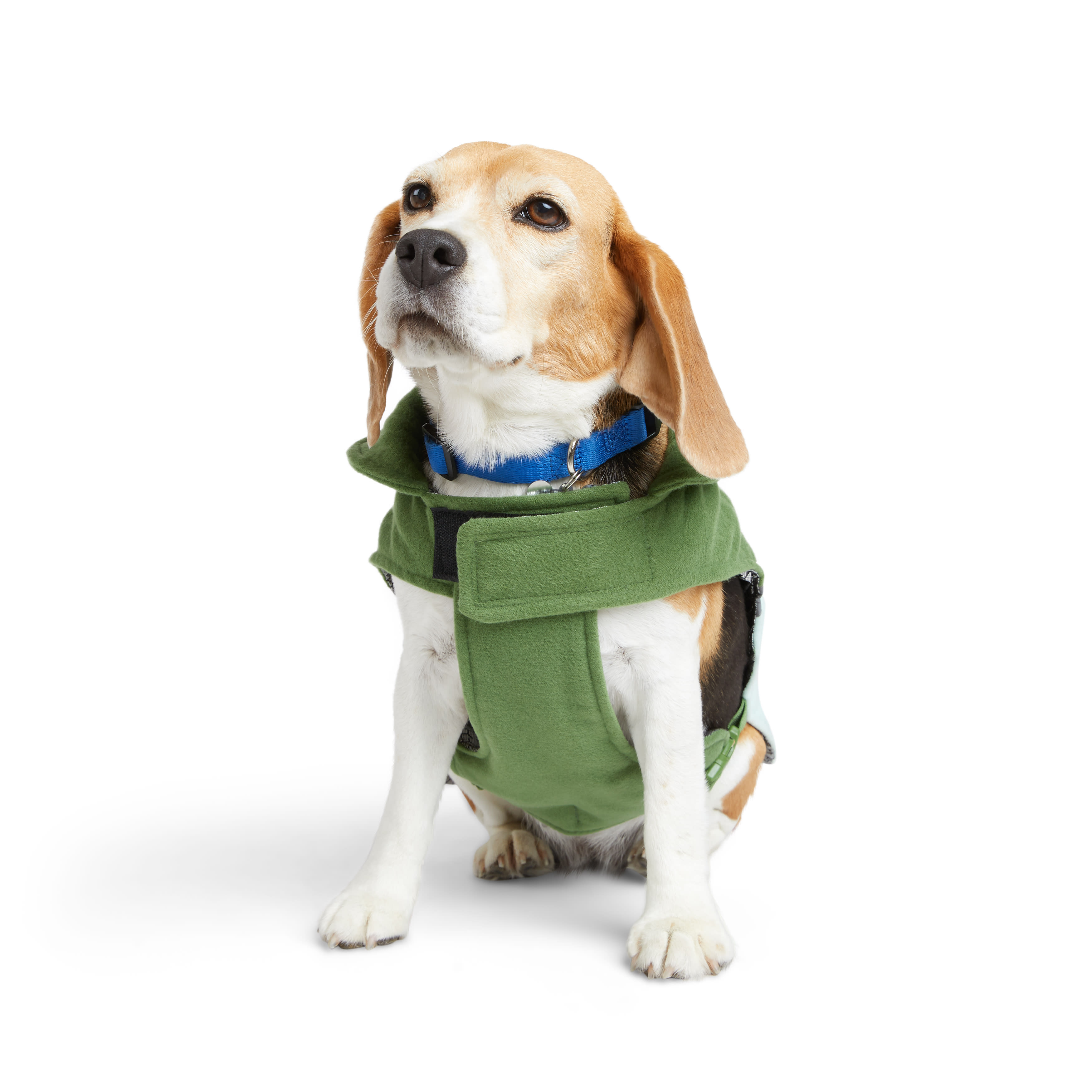 YOULY Green Colorblock Flannel Dog Vest， XX-Small