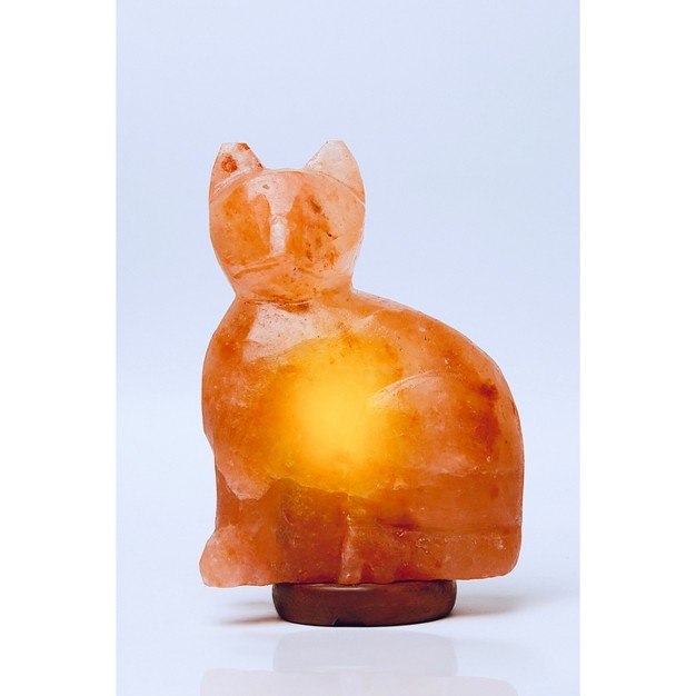 Cat Salt Lamp Pink Q amp a Himalayan Salt