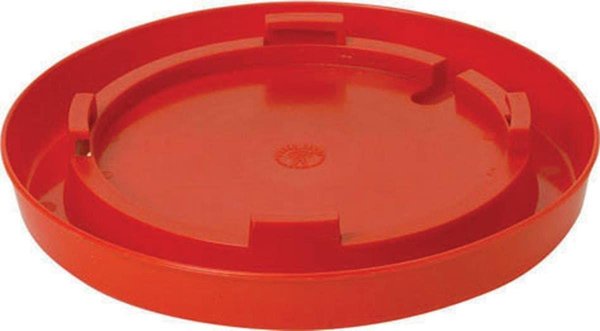 Little Giant Poultry Waterer Base， 1-gal