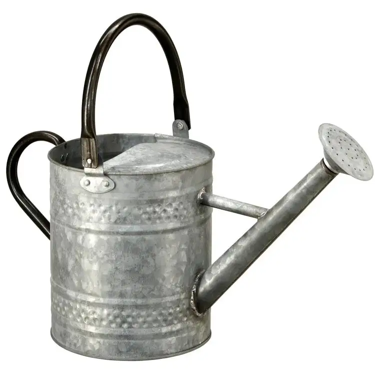 Antique silver metal watering can for outdoor and indoor plants flowers watering can Home Garden wholesale 2023 made in india