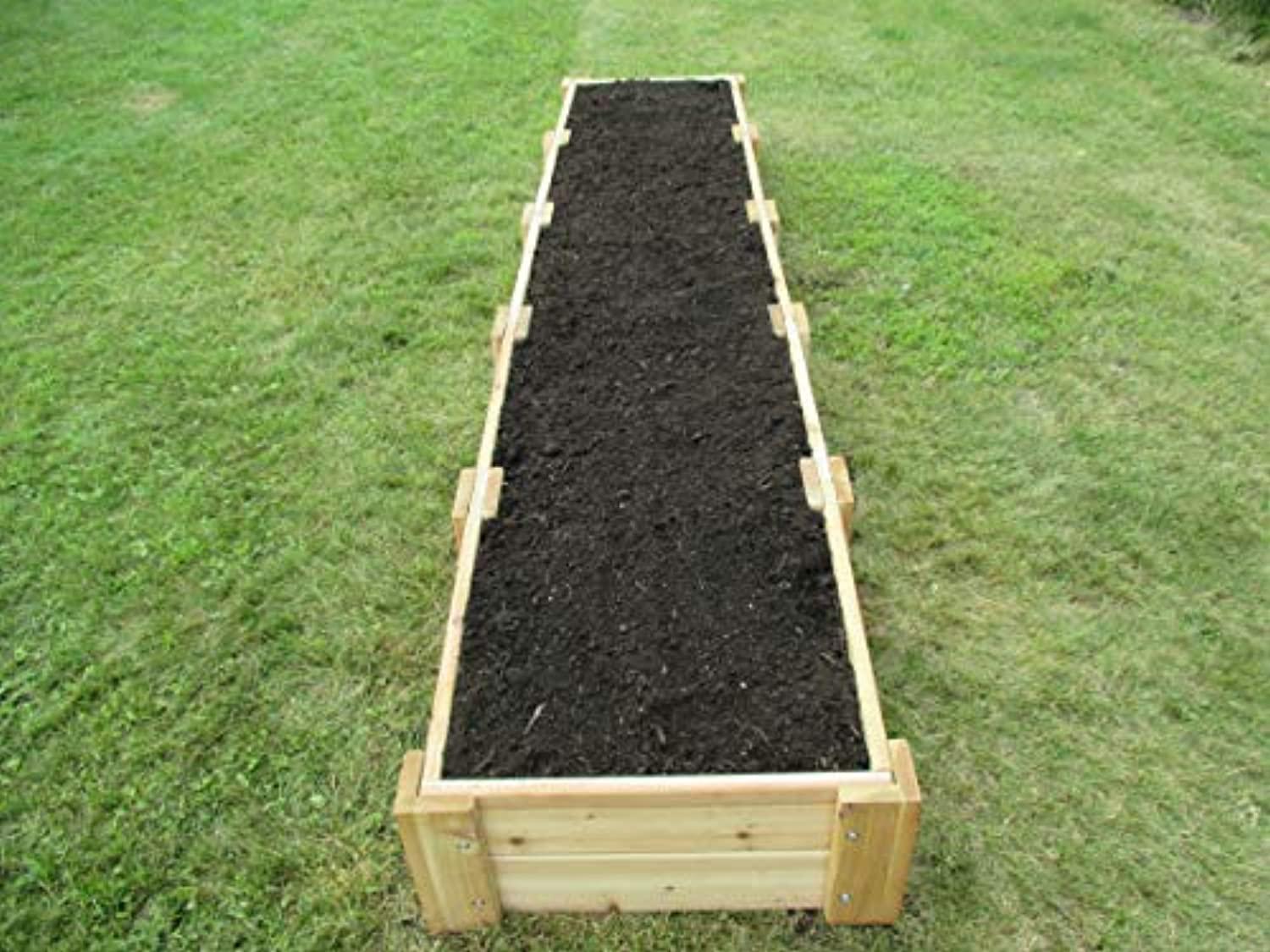 Infinite Cedar RB2x10x11 Cedar Raised Garden Bed& 2 ft. x 10 ft. x 11 in.