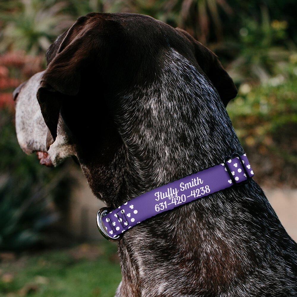 Buckle-Down Disney Minnie Mouse Ears Personalized Dog Collar