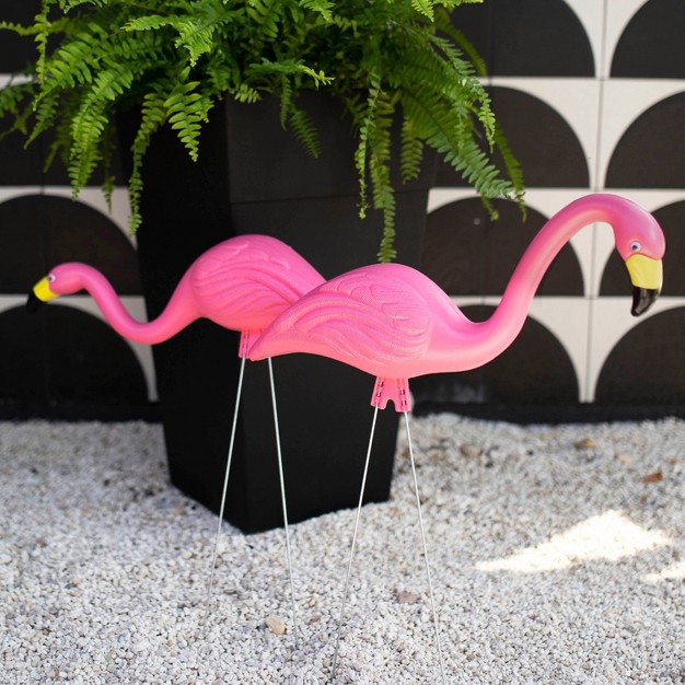 2pk Pink Flamingo Bloem