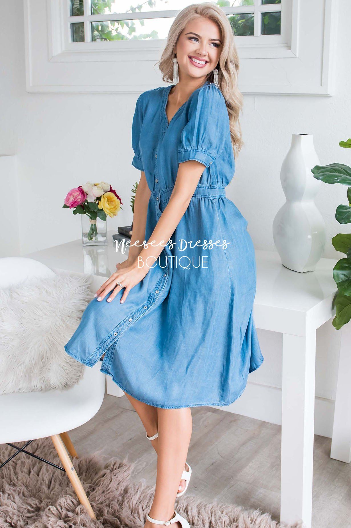 The Savannah Denim Dress