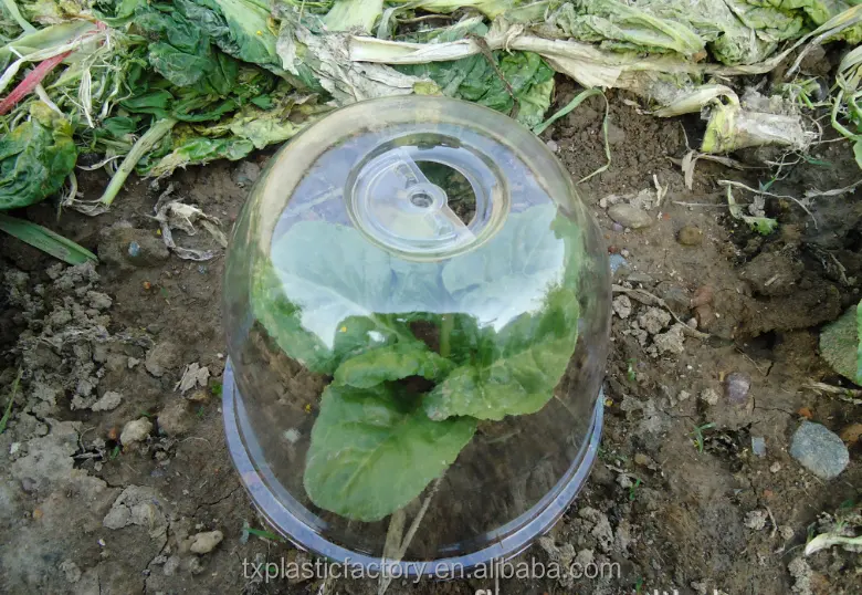 Factory supply high quality garden plastic bell cloche