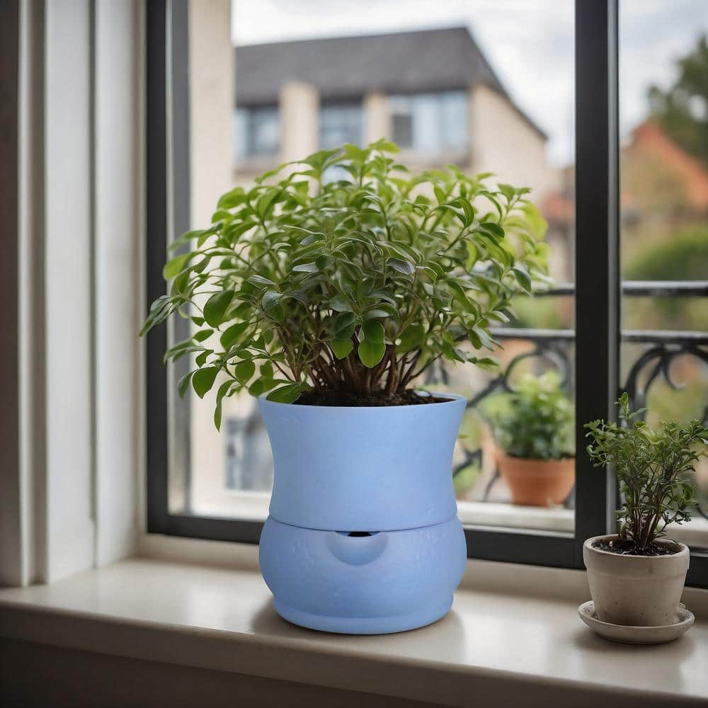 MPG 10 in. Dia x 10 in. H Composite Self Watering Belly Pot in Blue PC2081BLU