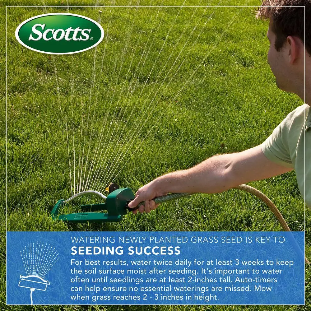Scotts Turf Builder 40 lbs. 4000 sq. ft. THICK'R LAWN Grass Seed Fertilizer and Soil Improver for Tall Fescue