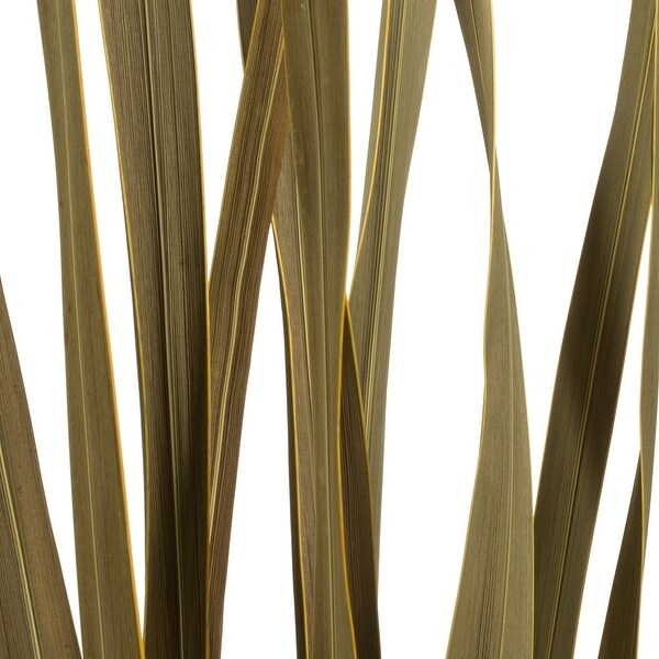 Vickerman 1830 Natural Snake Grass. Includes 36 Stems (3