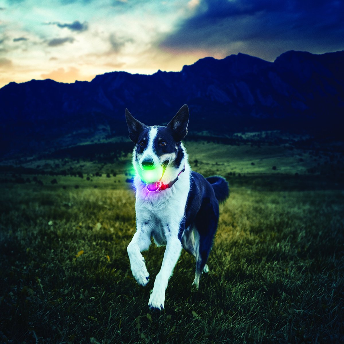 Nite Ize GlowStreak LED Ball Dog Toy