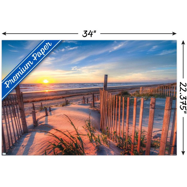 Trends International Scenery Boardwalk Unframed Wall Poster Prints