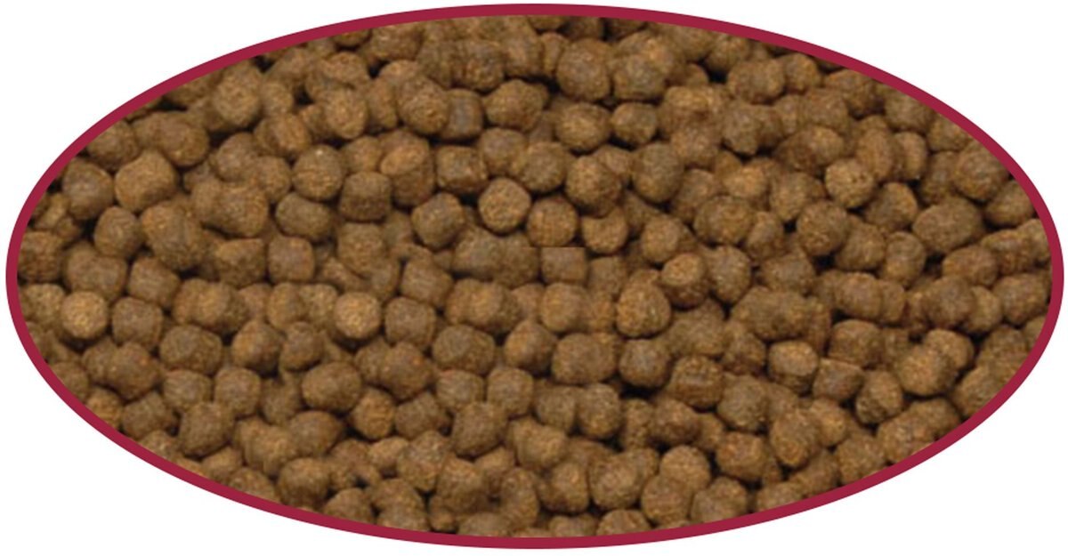 Cobalt Aquatics Cichlid Jumbo Pellet Fish Food， 8.9-oz pouch