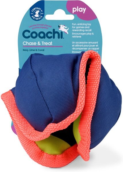 Coachi Chase and Treat Dog Dummy， Navy