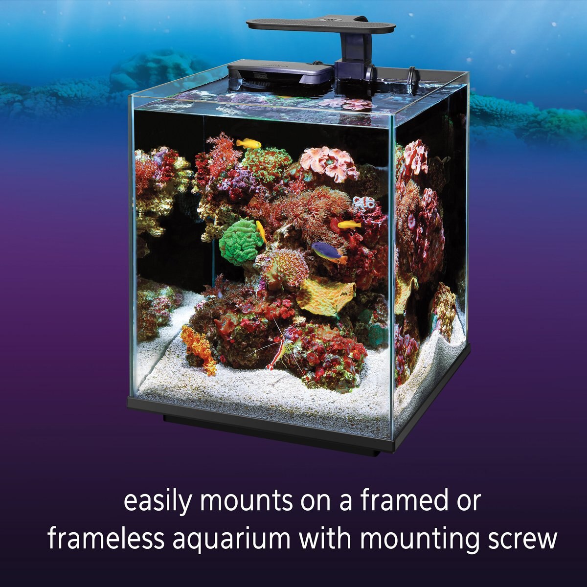 Coralife Marine Aquarium Clip-On LED Light