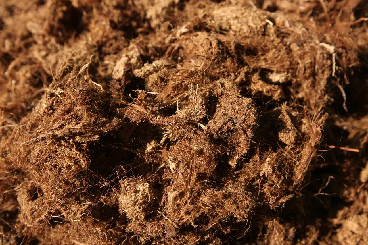 Milled peat for agriculture organic fertilizer high quality natural sustainable eco friendly peat moss