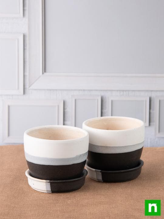 3.7 inch (9 cm) Round Egg Ceramic Pot with Plate (White, Black) (Set of 2)