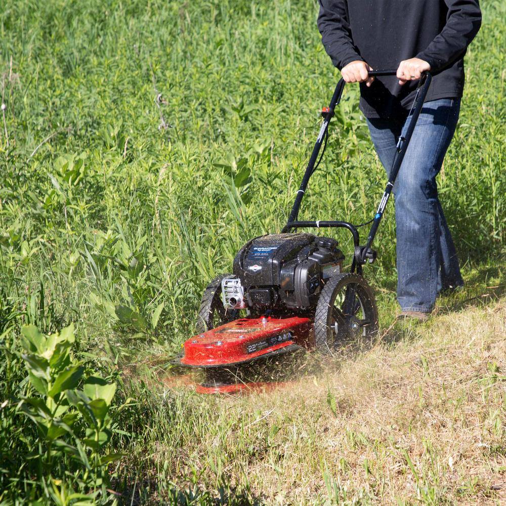 Toro 22 in. 163cc Walk Behind String Mower Cutting Swath with 4-Cycle Briggs and Stratton Engine 58620