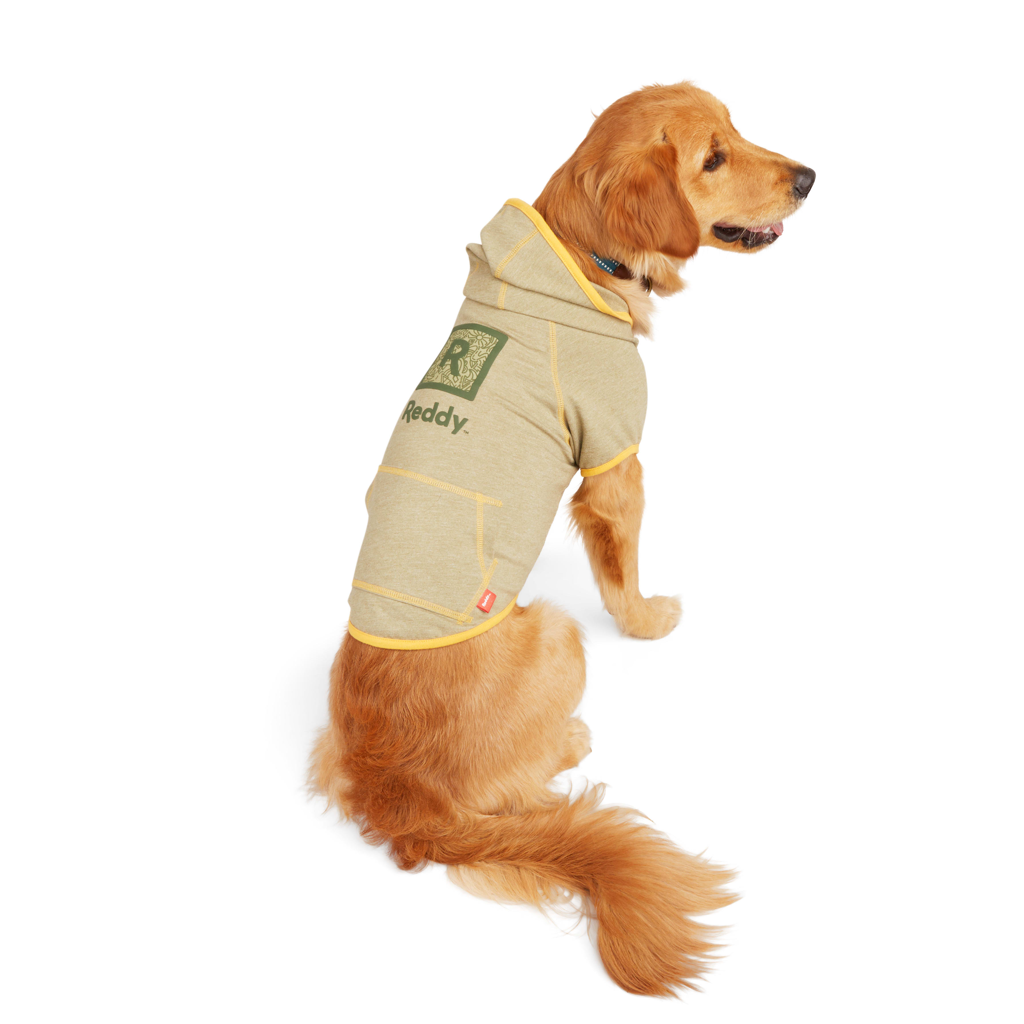 Reddy Brown and Yellow Zip Dog Hoodie， 3X-Large