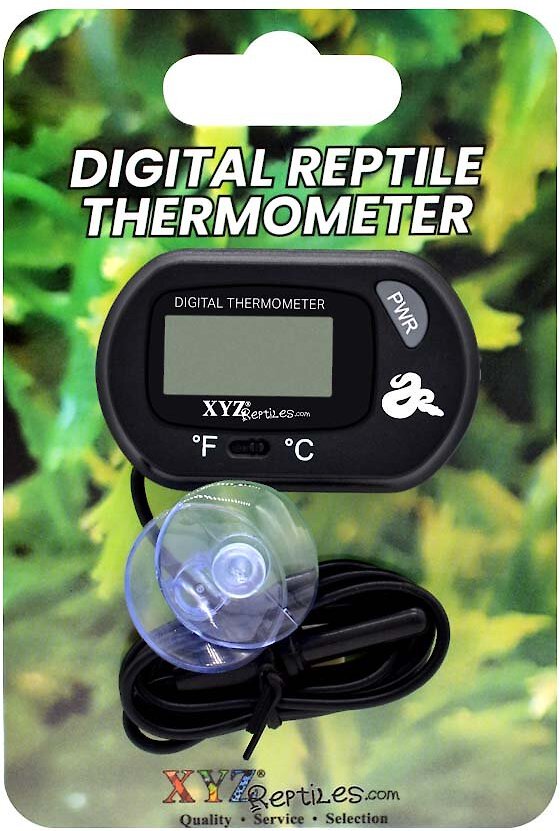 XYZReptiles Boa Constrictor Reptile Starter Kit