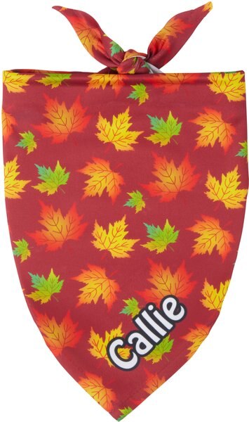 Frisco Fall Leaves Personalized Dog and Cat Bandana