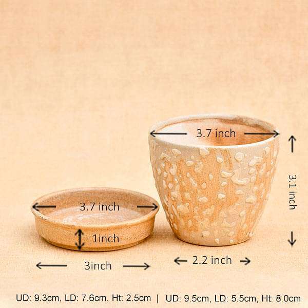 3.7 inch (9 cm) CP016 Embossed Round Egg Ceramic Pot With Plate (Beige) (set of 2)