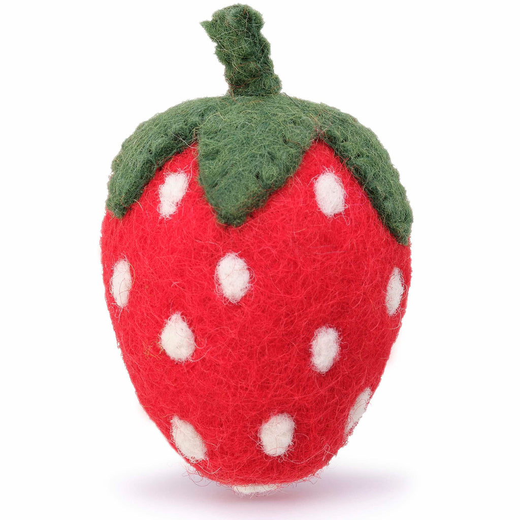 The Foggy Dog Catnip Toy - Strawberry