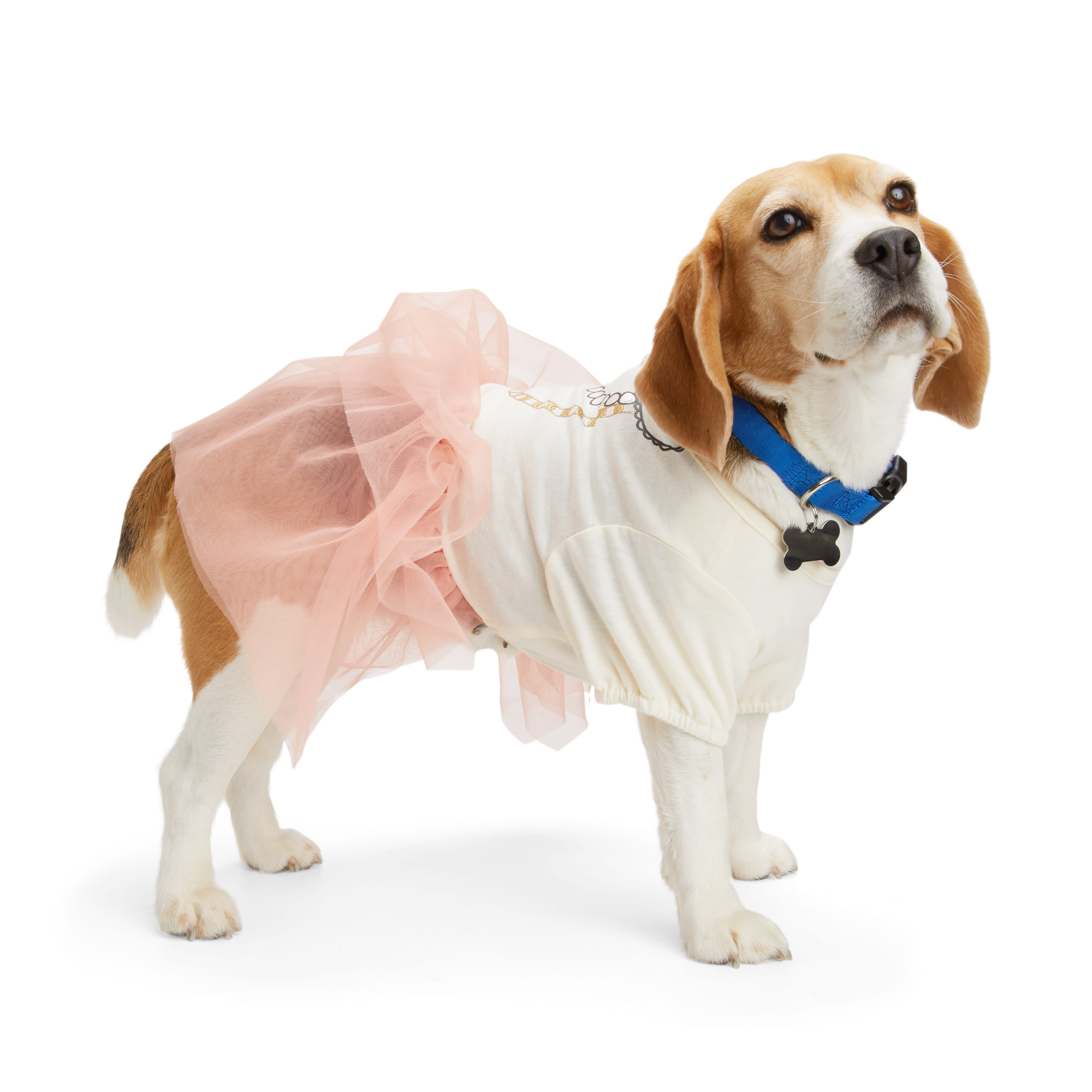 YOULY Tulle Tiered Dog Dress， XX-Small