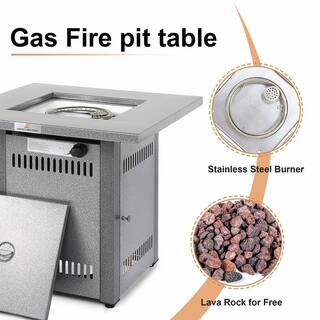 28 in. 50000 BTU Metal Outdoor Propane Gas Fire Pits Table (Silver) ZHYWMGB28-COL