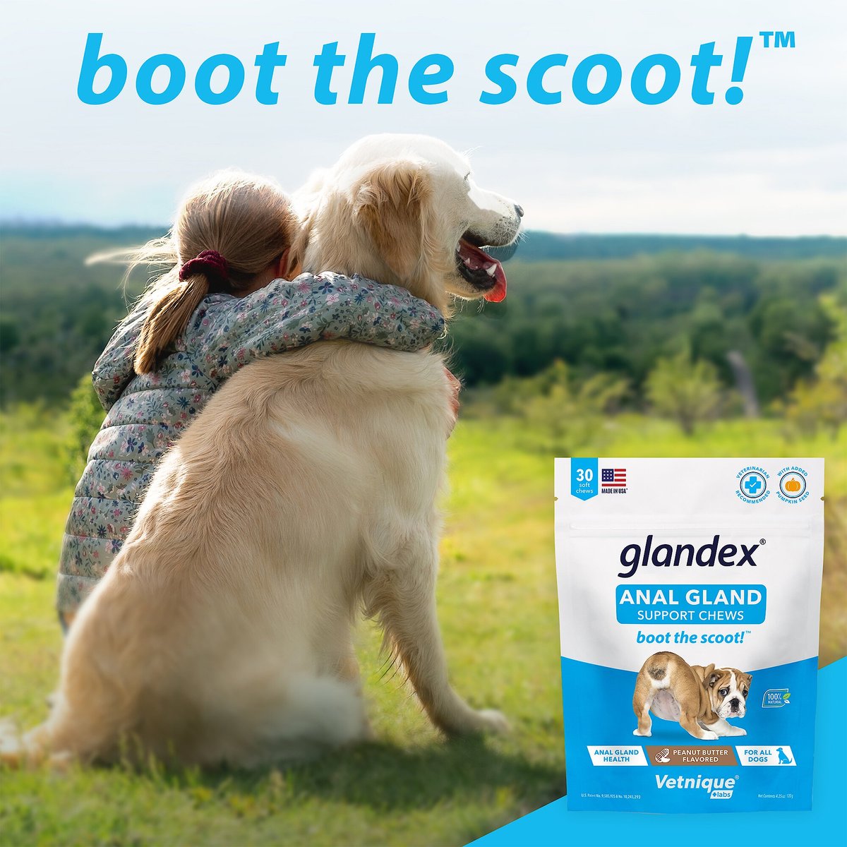 Vetnique Labs Glandex Anal Gland and Probiotic Pork Flavored Pumpkin Fiber and Digestive Soft Chew Dog Supplement